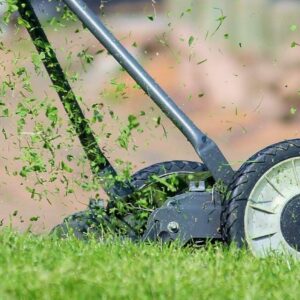 Lawn Mowing Service