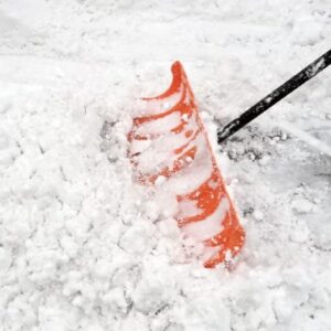 Snow Shoveling (Per hour)